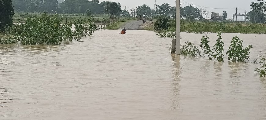 हाइड्रो पावर प्लांट की बेपरवाही फिर आई सामने, जलमग्न खेतों में डूबी किसानों की उम्मीदें, रास्ता भी ठप