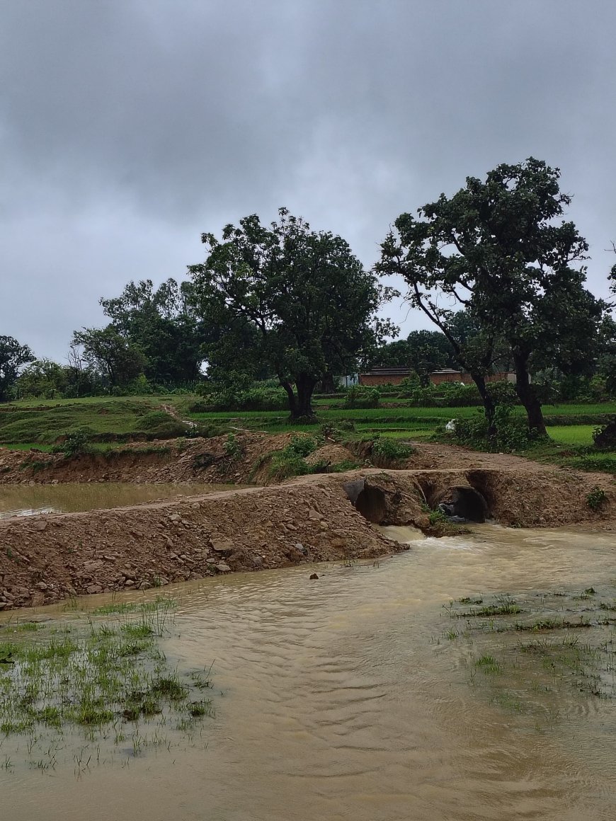 बसकर में कीचड़ की चादर बिछा रास्ता बना अभिशाप, स्कूल- अस्पताल की राह में कांटे