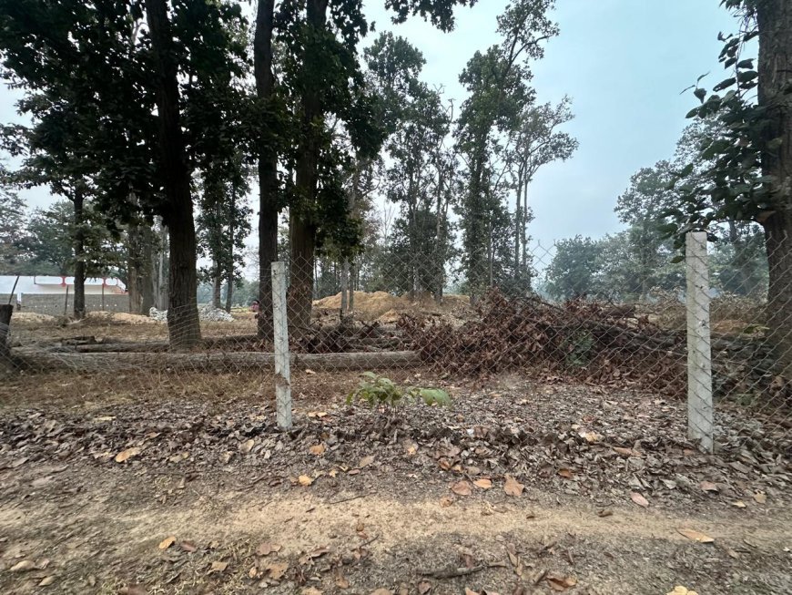 भकुरमा में 24 एकड़ सरकारी वन भूमि घोटाला: कूट रचित दस्तावेजों से बिक्री, 295 पेड़ों की अनदेखी, प्राथमिकी की अनुशंसा