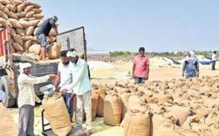धान बोनस भुगतान में किसानों को बड़ी राहत: 2014-15 और 2015-16 के लंबित मामलों में तेजी