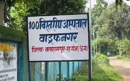 सब्जी में छिपकली गिरने से हड़कंप, एक ही परिवार के चार लोग बीमार