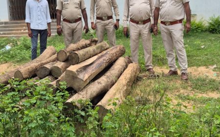 वन विभाग की बड़ी कार्रवाई, 80 हजार की सागौन लकड़ी जब्त