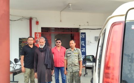 पशु तस्करी के मंसूबों पर पुलिस ने फेरा पानी:पुलिस ने एक आरोपी को दबोचा,12 गाय-बैल जब्त