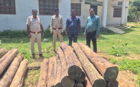 वन विभाग और पुलिस की संयुक्त कार्रवाई: अवैध सागौन काष्ठ जब्त, करीब 75 हजार का माल बरामद