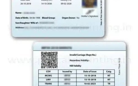 युवाओं को ड्राइविंग का 'सुनहरा पासपोर्ट': 3 दिन का फ्री लर्निंग लाइसेंस कैंप, 27 से शुरू