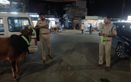 सावधान बेपरवाही तब्दील हो सकता हैं एफआईआर में :सड़कों पर घूम रहे मवेशियों के मालिकों पर पुलिस की सख्त कार्रवाई, दो के खिलाफ केस दर्ज