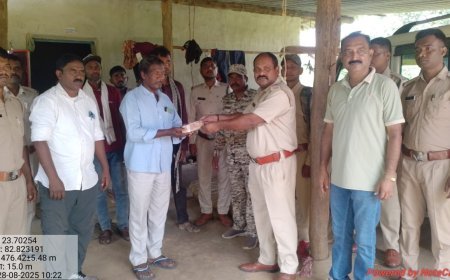 तमोर पिंगला अभ्यारण्य में हाथियों का आतंक, ग्रामीण को कुचलकर उतारा मौत के घाट