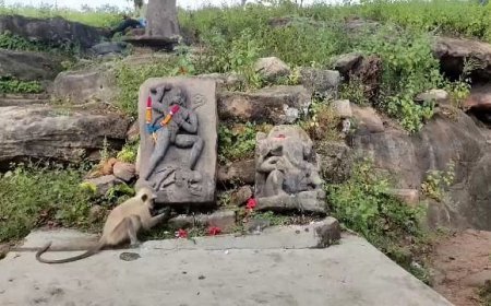 गढ़वतिया देवी धाम: आस्था का गढ़, कब हटेगी उपेक्षा की चट्टान