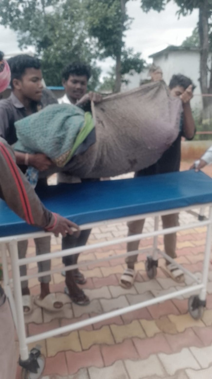 भालू के हमले से ग्रामीण गंभीर रूप से घायल, तमोर पिंगला अभ्यारण्य में वन्य जीव-मानव संघर्ष फिर उजागर