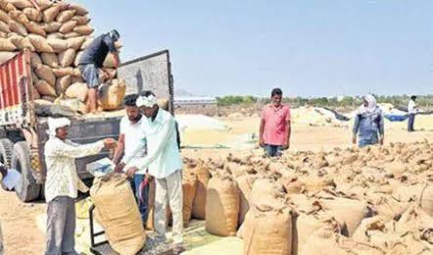 धान बोनस भुगतान में किसानों को बड़ी राहत: 2014-15 और 2015-16 के लंबित मामलों में तेजी