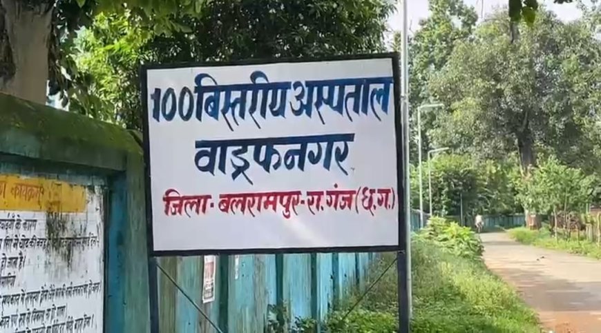 सब्जी में छिपकली गिरने से हड़कंप, एक ही परिवार के चार लोग बीमार
