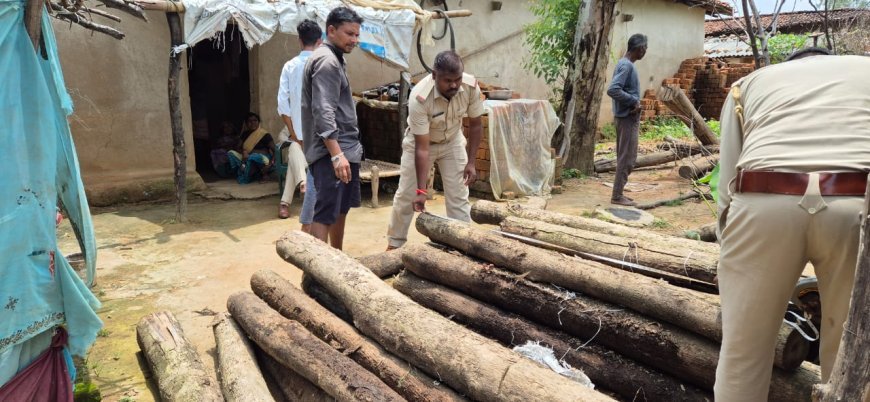 वन विभाग की बड़ी कार्रवाई, 80 हजार की सागौन लकड़ी जब्त