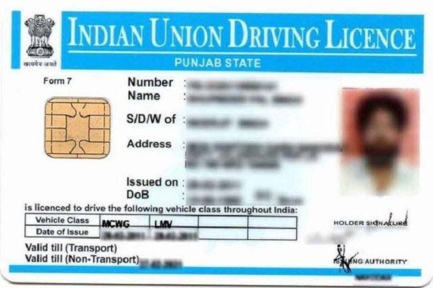 युवाओं को ड्राइविंग का 'सुनहरा पासपोर्ट': 3 दिन का फ्री लर्निंग लाइसेंस कैंप, 27 से शुरू