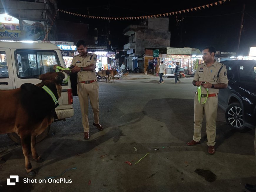 सावधान बेपरवाही तब्दील हो सकता हैं एफआईआर में :सड़कों पर घूम रहे मवेशियों के मालिकों पर पुलिस की सख्त कार्रवाई, दो के खिलाफ केस दर्ज