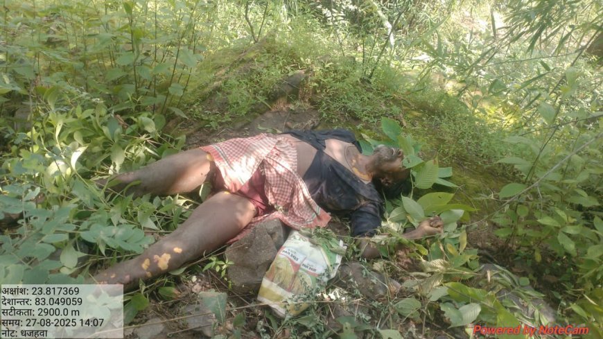 तमोर पिंगला अभ्यारण्य में हाथियों का आतंक, ग्रामीण को कुचलकर उतारा मौत के घाट