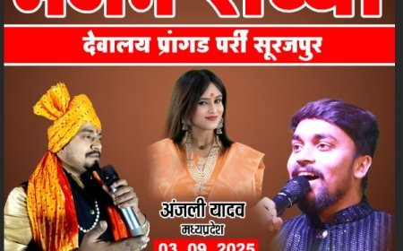 पर्री में भव्य भजन संध्या का आयोजन, अंजली यादव सहित प्रसिद्ध कलाकार देंगे प्रस्तुति