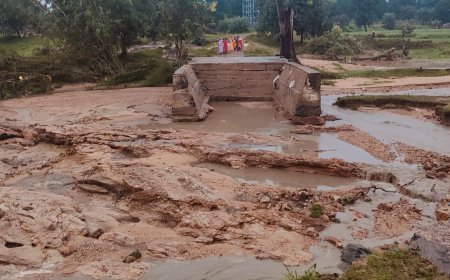 टूटा करीब 40 साल पुराना बांध: सास-बहू की मौत, करीब 4 लापता; एक ने भागकर बचाई जान