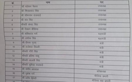 भाजपा में नई टीम का ऐलान: करीब 1 साल बाद बनी जिला कार्यकारिणी, 23 पदाधिकारियों को मिली जिम्मेदारी