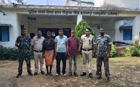 तस्करों के मंसूबों पर ग्रामीणों ने फेरा पानी झारखंड ले जा रहे थे 7 मवेशी, पुलिस ने तीनों तस्करों को दबोचा