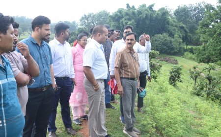 50 साल पुराने बरकेला बांध पर कलेक्टर का निरीक्षण:16 जगह रिसाव,ग्रामीणों को अलर्ट