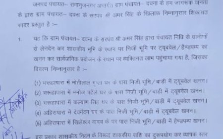 सरपंच की 'निजी सेवा': शासकीय ट्यूबवेल-हैंडपंप निजी भूमि व बाड़ियों में ठोंके, जरूरतमंद हलकान कलेक्टर से लगाई गुहार