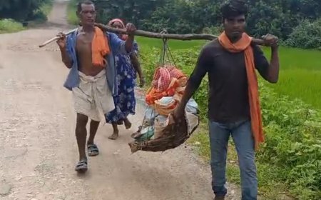 बुखार से जूझते नान कोड़ाकु को कंधे पर लादे करीब 17 किमी पैदल चले परिजन,वायरल वीडियो ने खोली स्वास्थ्य व्यवस्था की पोल