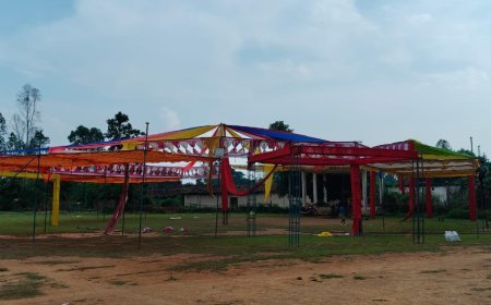 मसिरा में पितृपक्ष विसर्जन पर भव्य करमा नृत्य प्रतियोगिता
