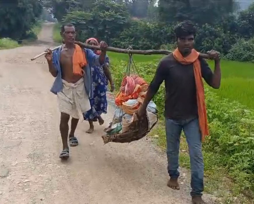 बुखार से जूझते नान कोड़ाकु को कंधे पर लादे करीब 17 किमी पैदल चले परिजन,वायरल वीडियो ने खोली स्वास्थ्य व्यवस्था की पोल