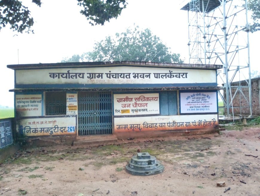 पालकेवरा में आकाशीय बिजली का कहर: 17 वर्षीय किशोर की मौत, करीब आधा दर्जन प्रभावित, स्वास्थ्य सेवाएं ठप