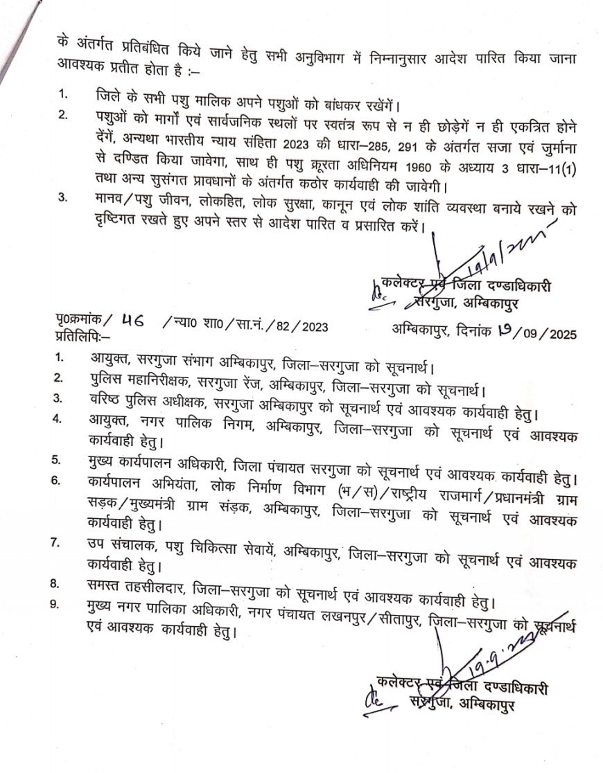सड़कों पर आवारा पशुओं को रोक के लिए सख्त आदेश, उल्लंघन पर सजा और जुर्माना