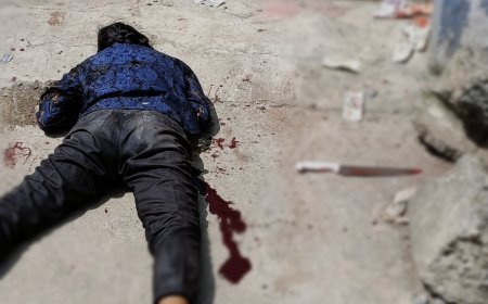 दिनदहाड़े पेट्रोल पंप पर खौफनाक चाकूबाजी: महिला कर्मचारी पर युवक का जानलेवा हमला, लहूलुहान होकर गिरी युवती...