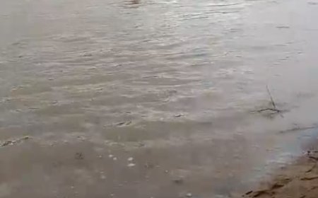 नदी में मौत का तांडव: दो नावें पलटीं, ग्रामीणों की जांबाजी से बची दर्जनों जिंदगियां