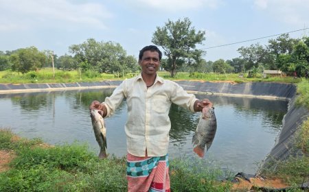 ग्रामीण अंचलों में मत्स्य पालन बना आत्मनिर्भरता का नया जरिया, वैज्ञानिक तकनीक से खिल रही किसानों की किस्मत