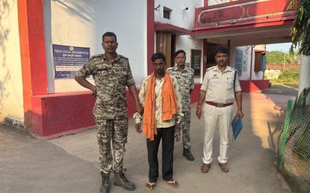 जंगल में सूअर मारने के लिए बिछाया था बिजली का जाल, ग्रामीण झुलसा, आदतन अपराधी जेल में