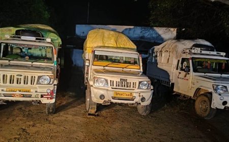 अवैध धान परिवहन पर प्रशासन की कार्रवाई, तीन पिकअप वाहन जब्त