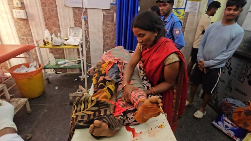 हाथी-भालू का तांडव: दहशत,घर-खेत तबाह,महिला गंभीर रूप से घायल