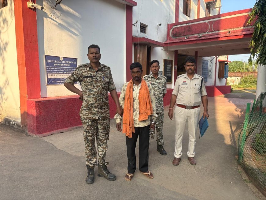 जंगल में सूअर मारने के लिए बिछाया था बिजली का जाल, ग्रामीण झुलसा, आदतन अपराधी जेल में