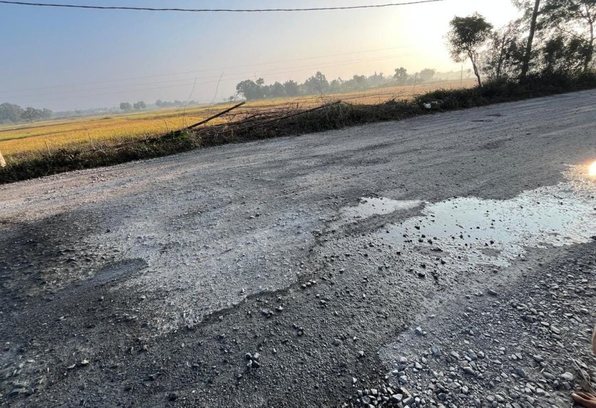 बेलगाम कोल परिवहन से धूल का गुबार: भारी वाहनों से सड़कें जर्जर, रहवासी परेशान नहीं हो रहा समाधान
