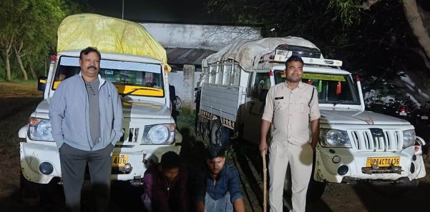 अवैध धान परिवहन पर प्रशासन की कार्रवाई, तीन पिकअप वाहन जब्त