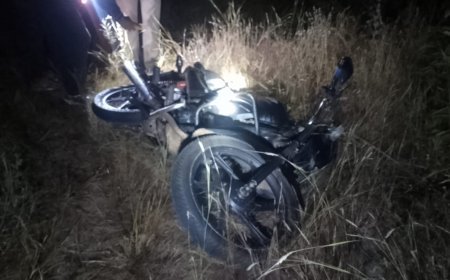 जंगल की वापसी बनी काल: हाथी दल के हमले में ग्रामीण कुचला, मौके पर दर्दनाक अंत