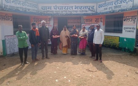 भरतपुर में मितानिन दिवस हर्षोल्लास के साथ मनाया गया