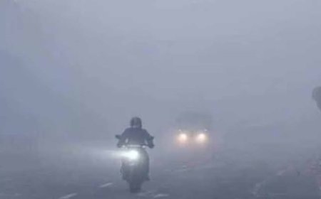 घने कोहरे को लेकर परिवहन विभाग सतर्क, वाहन चालकों से सावधानी की अपील