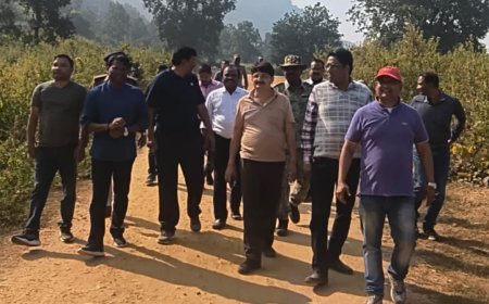 पहाड़गांव बनेगा नया पर्यटन केंद्र, प्रथम जिला एवं अपर सत्र न्यायाधीश–कलेक्टर–एसएसपी ने किया स्थलीय निरीक्षण