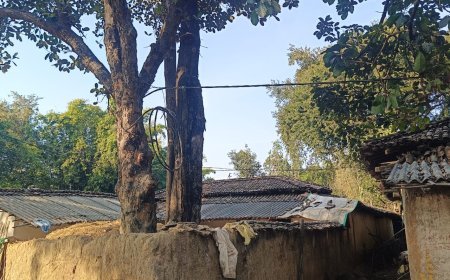 झूलते बिजली के केबल बने खतरे की वजह, सलेहापारा के रहवासी भय के साए में