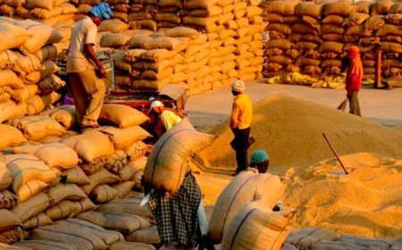 समर्थन मूल्य पर धान खरीदी में किसान बेहाल: सहूलियत के निर्देश कागज़ों में, केंद्रों पर शोषण चरम पर