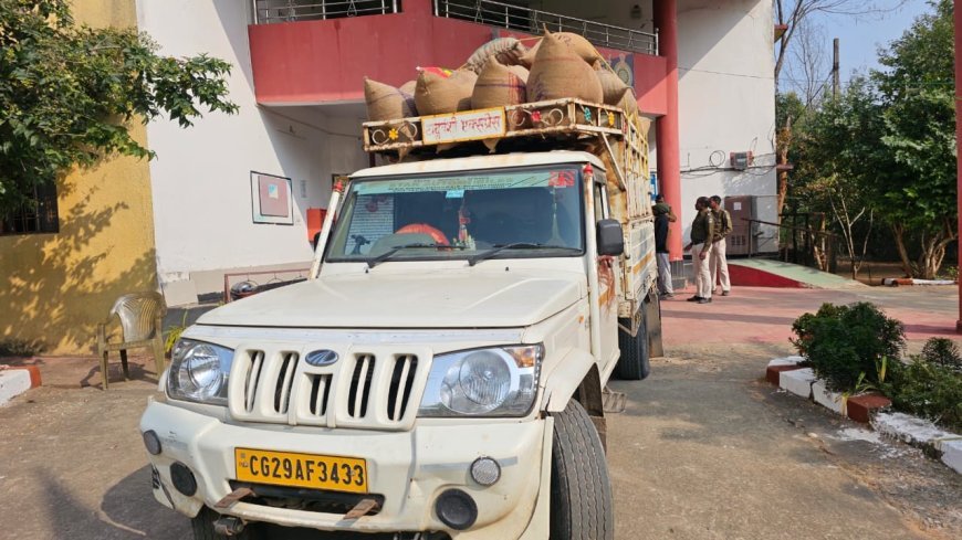 बिना टोकन धान तस्करी का पर्दाफाश: बसदेई पुलिस ने दो पिकअप  पकड़ा अवैध धान, एसडीएम के सुपुर्द