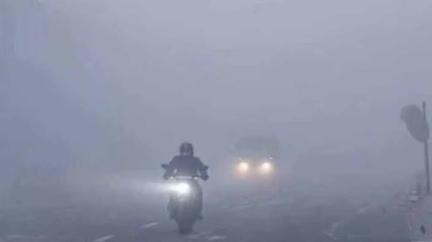 घने कोहरे को लेकर परिवहन विभाग सतर्क, वाहन चालकों से सावधानी की अपील