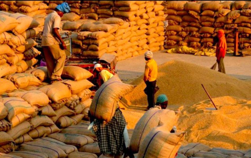 समर्थन मूल्य पर धान खरीदी में किसान बेहाल: सहूलियत के निर्देश कागज़ों में, केंद्रों पर शोषण चरम पर