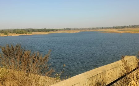 परशुरामपुर जलाशय से बदली किसानों की तकदीर: चार गांवों में सिंचाई पहुंचते ही लहलहाईं फसलें, खेती बनी लाभ का सौदा