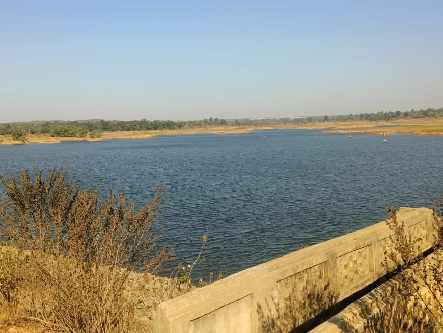 परशुरामपुर जलाशय से बदली किसानों की तकदीर: चार गांवों में सिंचाई पहुंचते ही लहलहाईं फसलें, खेती बनी लाभ का सौदा